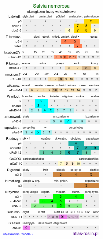 ekologiczne liczby wskaźnikowe Salvia nemorosa (szałwia omszona)