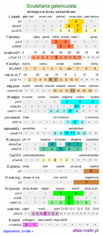 ekologiczne liczby wskaźnikowe Scutellaria galericulata (tarczyca pospolita)