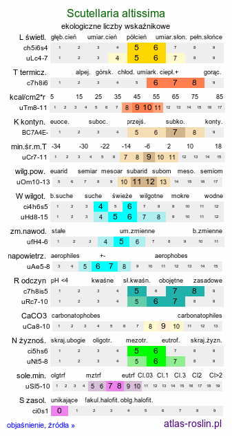 ekologiczne liczby wskaźnikowe Scutellaria altissima (tarczyca wyniosła)