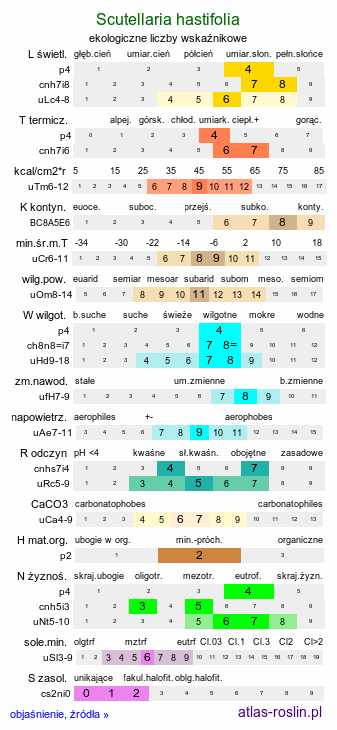 ekologiczne liczby wskaźnikowe Scutellaria hastifolia (tarczyca oszczepowata)