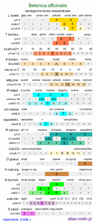 ekologiczne liczby wskaźnikowe Betonica officinalis (bukwica zwyczajna)