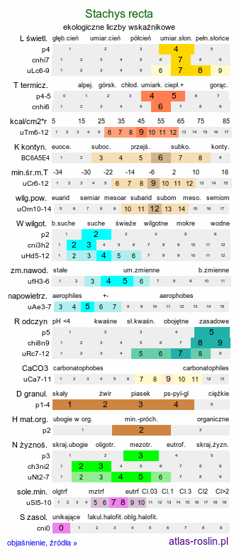 ekologiczne liczby wskaźnikowe Stachys recta (czyściec prosty)