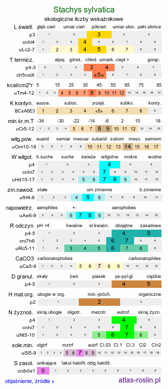 ekologiczne liczby wskaźnikowe Stachys sylvatica (czyściec leśny)