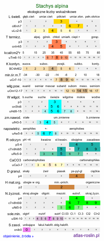 ekologiczne liczby wskaźnikowe Stachys alpina (czyściec górski)