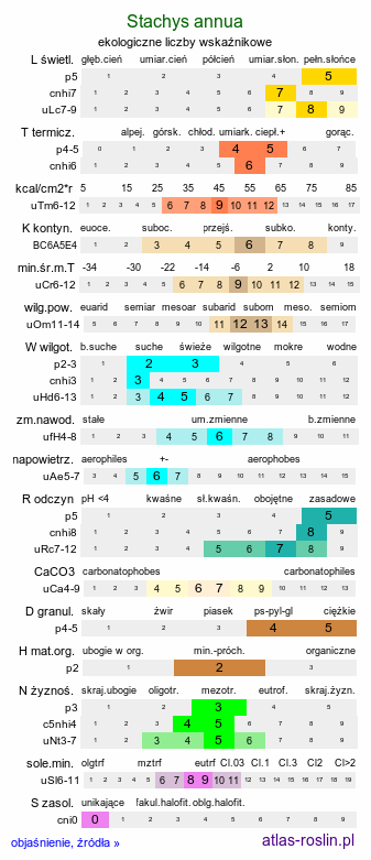ekologiczne liczby wskaźnikowe Stachys annua (czyściec roczny)