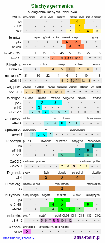 ekologiczne liczby wskaźnikowe Stachys germanica (czyściec kosmaty)