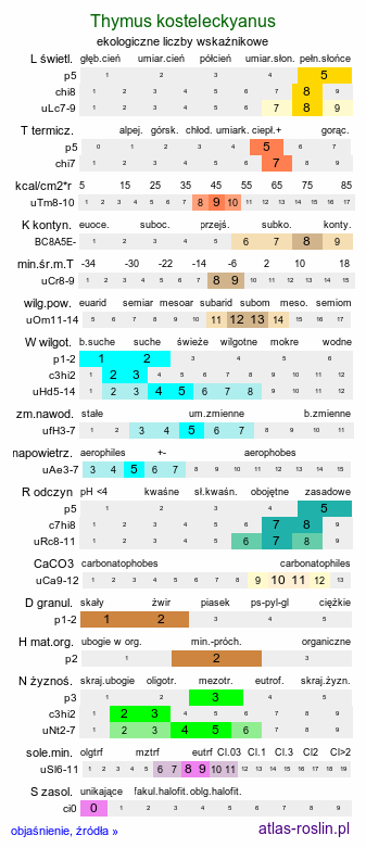 ekologiczne liczby wskaźnikowe Thymus kosteleckyanus (macierzanka pannońska)