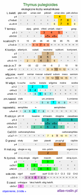 ekologiczne liczby wskaźnikowe Thymus pulegioides (macierzanka zwyczajna)