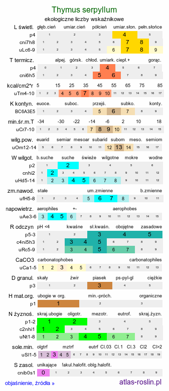 ekologiczne liczby wskaźnikowe Thymus serpyllum (macierzanka piaskowa)