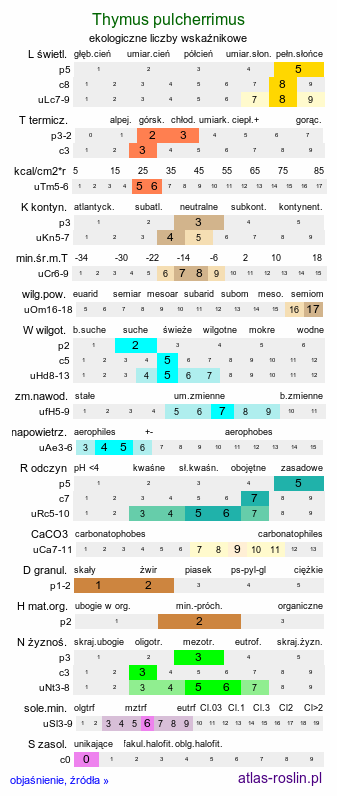 ekologiczne liczby wskaźnikowe Thymus pulcherrimus (macierzanka nadobna)