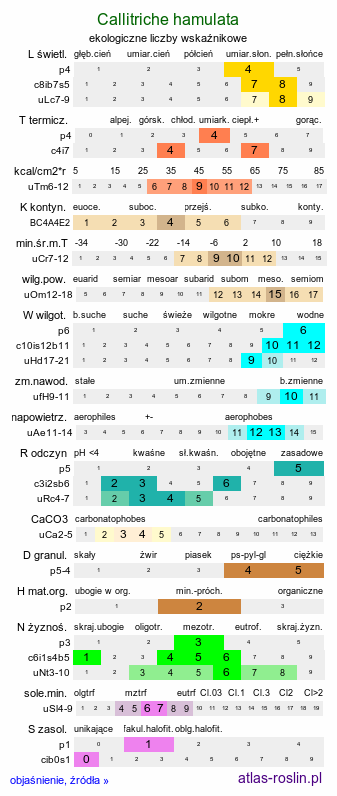 ekologiczne liczby wskaźnikowe Callitriche hamulata (rzęśl hakowata)