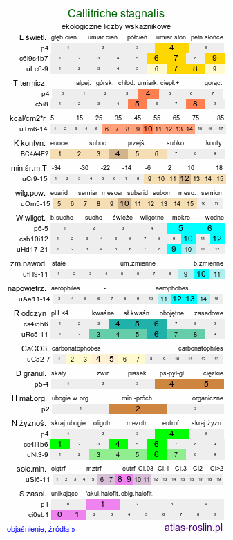 ekologiczne liczby wskaźnikowe Callitriche stagnalis (rzęśl wielkoowockowa)