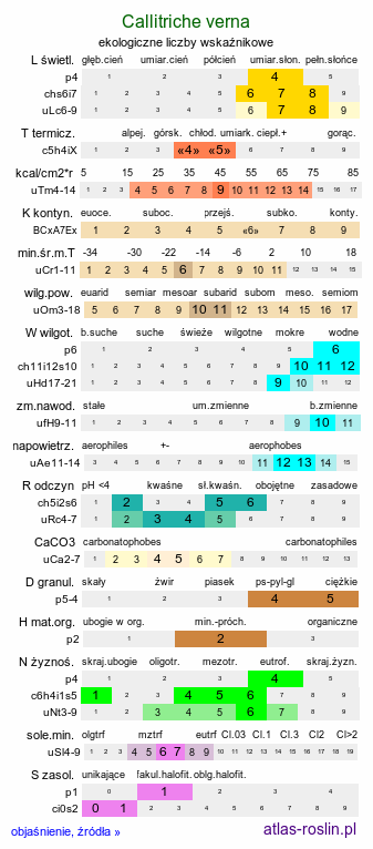 ekologiczne liczby wskaźnikowe Callitriche verna (rzęśl wiosenna)