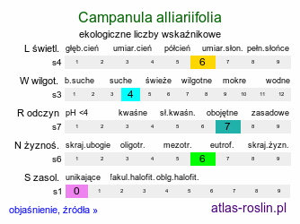 ekologiczne liczby wskaźnikowe Campanula alliariifolia (dzwonek czosnaczkowaty)