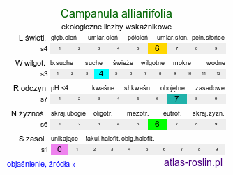 ekologiczne liczby wskaźnikowe Campanula alliariifolia (dzwonek czosnaczkowaty)