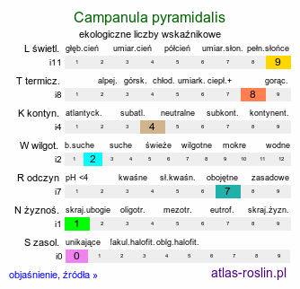 ekologiczne liczby wskaźnikowe Campanula pyramidalis (dzwonek piramidalny)