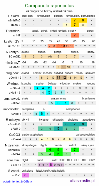ekologiczne liczby wskaźnikowe Campanula rapunculus (dzwonek rapunkuł)
