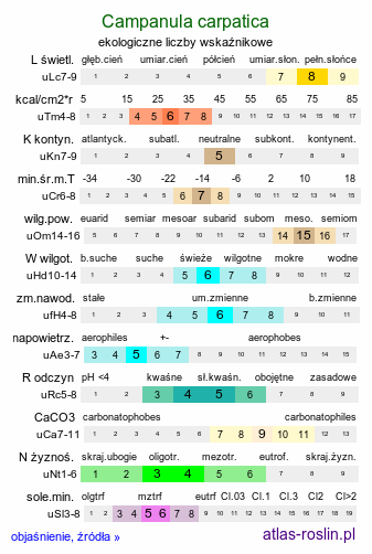 ekologiczne liczby wskaźnikowe Campanula carpatica (dzwonek karpacki)