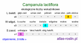 ekologiczne liczby wskaźnikowe Campanula lactiflora (dzwonek kremowy)