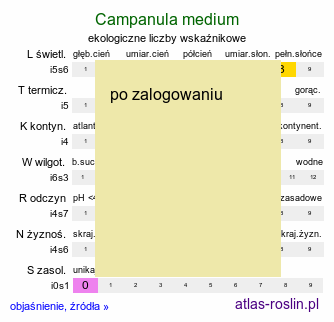 ekologiczne liczby wskaźnikowe Campanula medium (dzwonek ogrodowy)