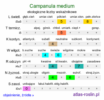 ekologiczne liczby wskaźnikowe Campanula medium (dzwonek ogrodowy)