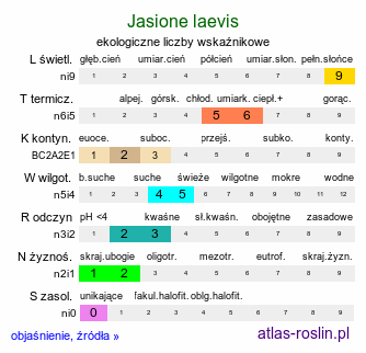 ekologiczne liczby wskaźnikowe Jasione laevis (jasieniec trwały)