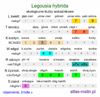 ekologiczne liczby wskaźnikowe Legousia hybrida (zwrotnica drobna)