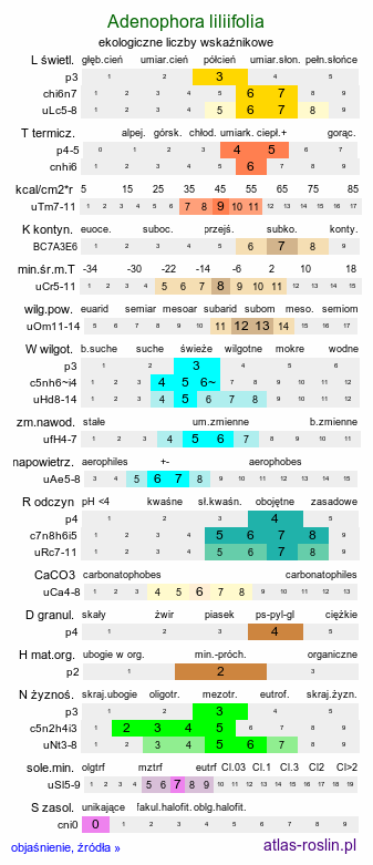 ekologiczne liczby wskaźnikowe Adenophora liliifolia (dzwonecznik wonny)