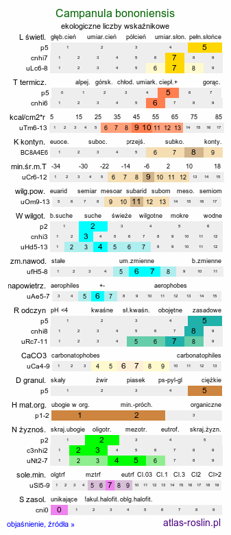 ekologiczne liczby wskaźnikowe Campanula bononiensis (dzwonek boloński)