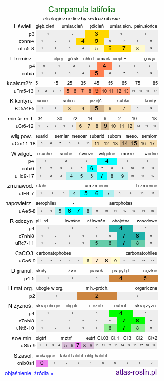 ekologiczne liczby wskaźnikowe Campanula latifolia (dzwonek szerokolistny)