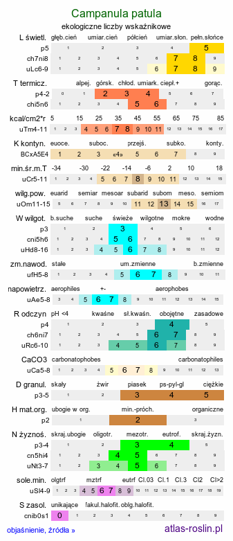 ekologiczne liczby wskaźnikowe Campanula patula (dzwonek rozpierzchły)