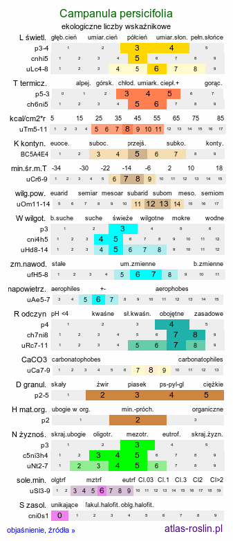 ekologiczne liczby wskaźnikowe Campanula persicifolia (dzwonek brzoskwiniolistny)