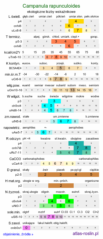 ekologiczne liczby wskaźnikowe Campanula rapunculoides (dzwonek jednostronny)