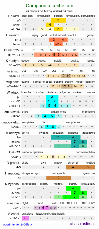 ekologiczne liczby wskaźnikowe Campanula trachelium (dzwonek pokrzywolistny)