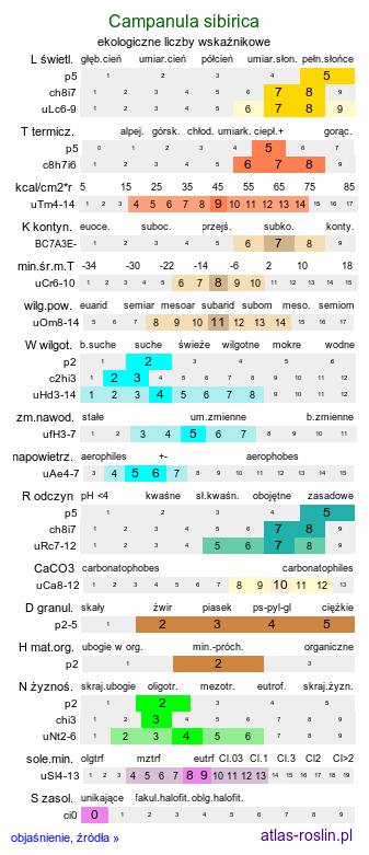ekologiczne liczby wskaźnikowe Campanula sibirica (dzwonek syberyjski)