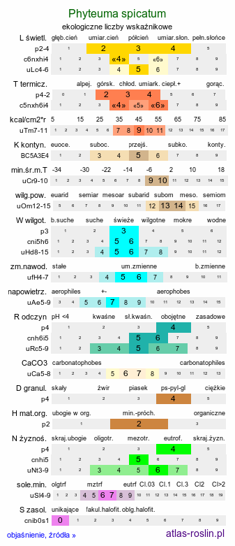 ekologiczne liczby wskaźnikowe Phyteuma spicatum (zerwa kłosowa)