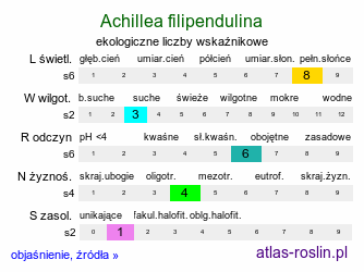 ekologiczne liczby wskaźnikowe Achillea filipendulina (krwawnik wiązówkowaty)