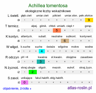 ekologiczne liczby wskaźnikowe Achillea tomentosa (krwawnik wełnisty)