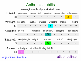 ekologiczne liczby wskaźnikowe Anthemis nobilis (rumian rzymski)