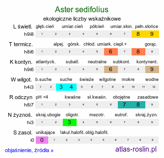 ekologiczne liczby wskaźnikowe Aster sedifolius (aster wąskolistny)