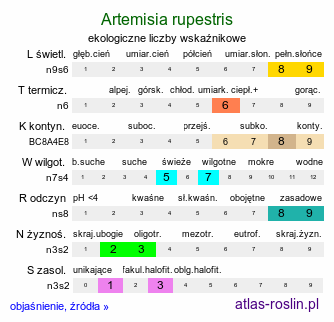 ekologiczne liczby wskaźnikowe Artemisia rupestris (bylica naskalna)