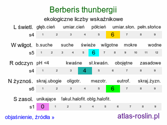 ekologiczne liczby wskaźnikowe Berberis thunbergii (berberys Thunberga)