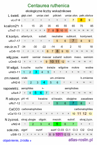 ekologiczne liczby wskaźnikowe Centaurea ruthenica (chaber ruski)