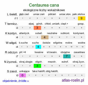 ekologiczne liczby wskaźnikowe Centaurea cana