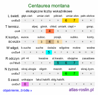 ekologiczne liczby wskaźnikowe Centaurea montana (chaber górski)