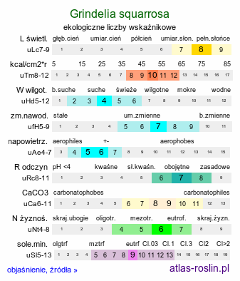 ekologiczne liczby wskaźnikowe Grindelia squarrosa (doględka nastroszona)