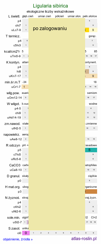 ekologiczne liczby wskaźnikowe Ligularia sibirica (języczka syberyjska)