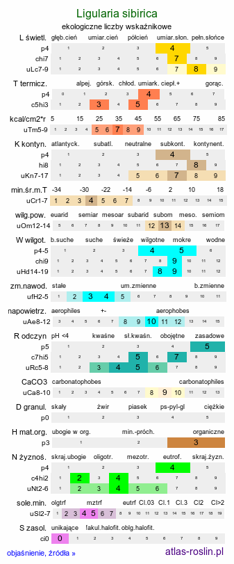 ekologiczne liczby wskaźnikowe Ligularia sibirica (języczka syberyjska)