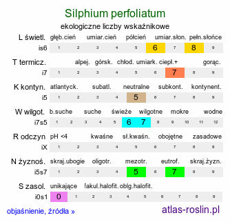 ekologiczne liczby wskaźnikowe Silphium perfoliatum (różnik przerosłolistny)