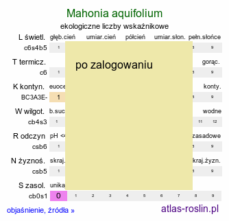 ekologiczne liczby wskaÅºnikowe Mahonia aquifolium (mahonia pospolita)